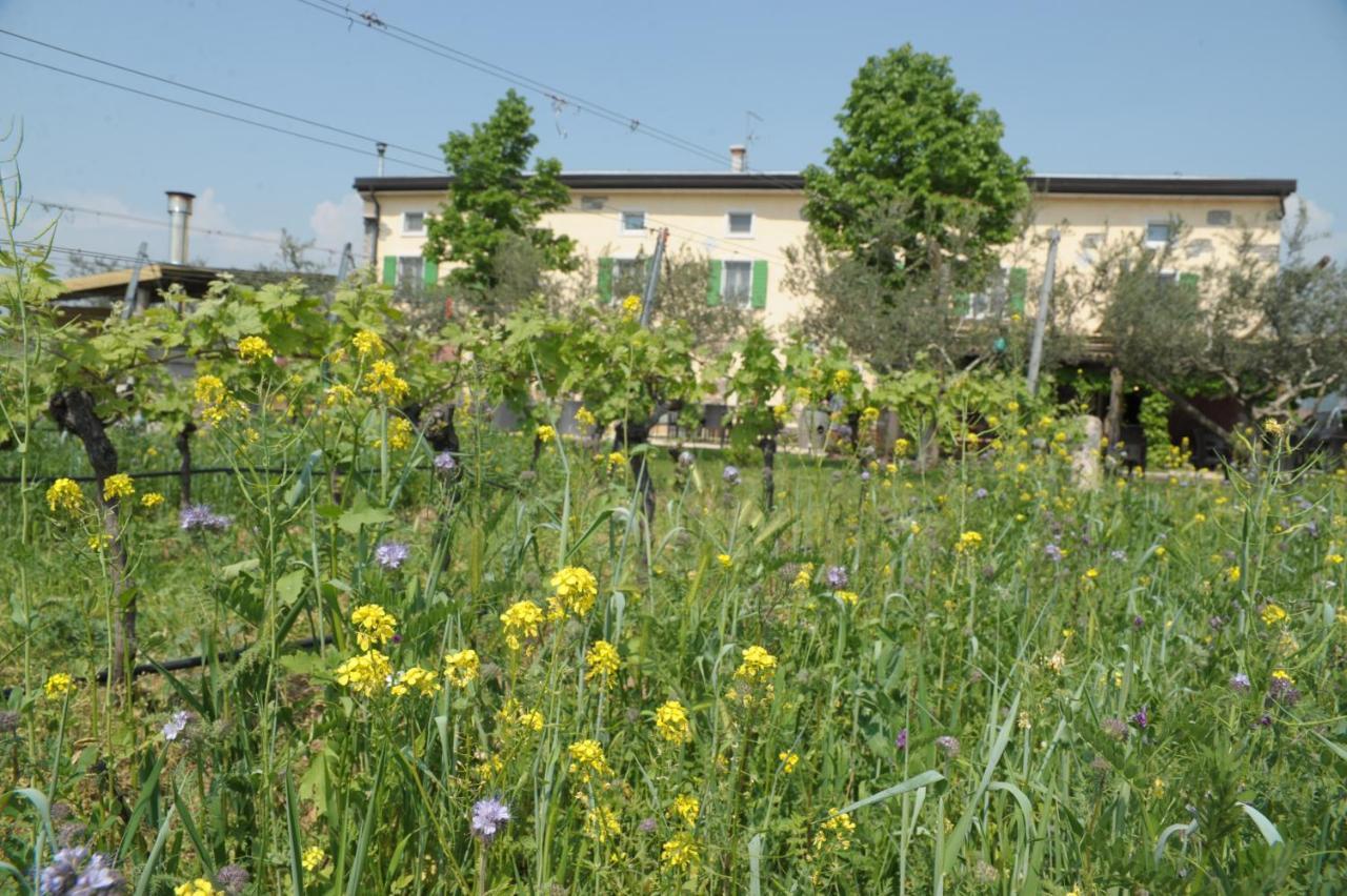 Agriturismo Sol De Montalto Rivoli Veronese المظهر الخارجي الصورة